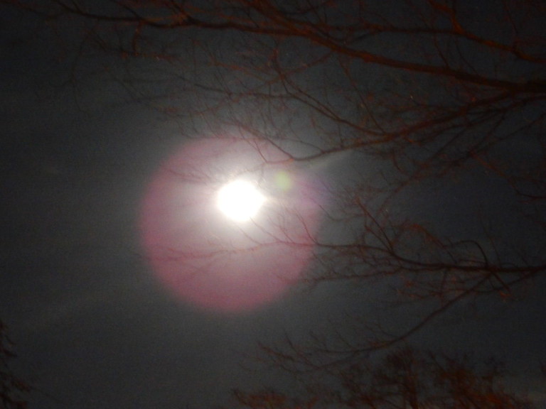 Winter Moon