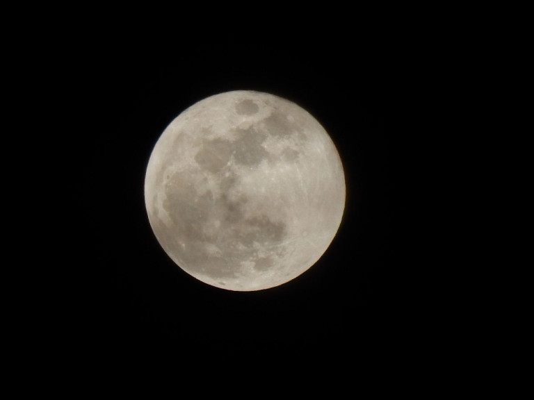 Handfuls of Moonlight