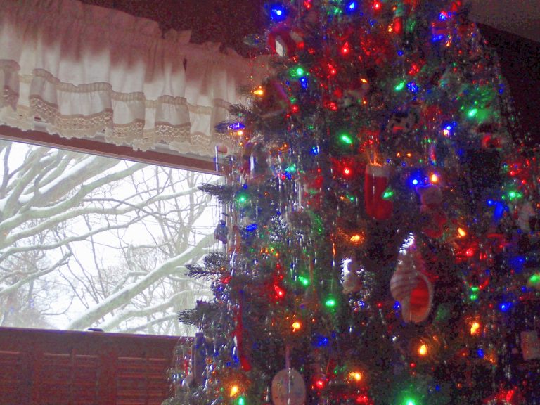When Christmas Comes to Our House