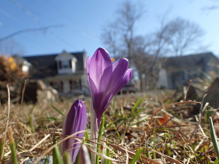 Feels Like Spring Today