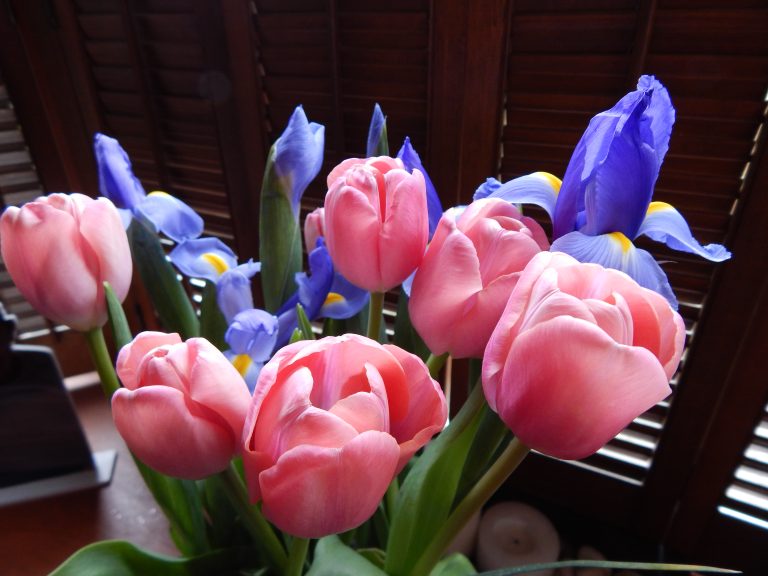 Welcome April!