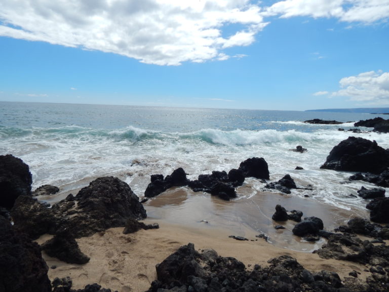 Rogue Wave