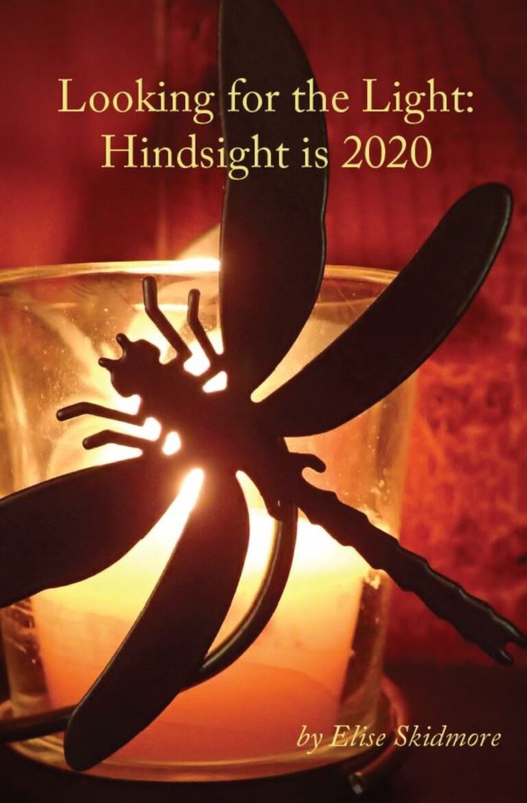 Looking for the Light: Hindsight is 2020 by Elise Skidmore - shows dragonfly over candle