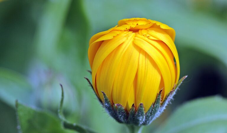 The Last Day of Poetry Month