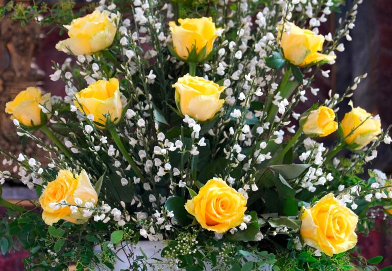 Happy Mother’s Day