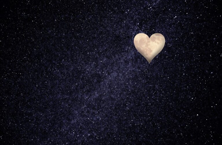 Love Snapshots