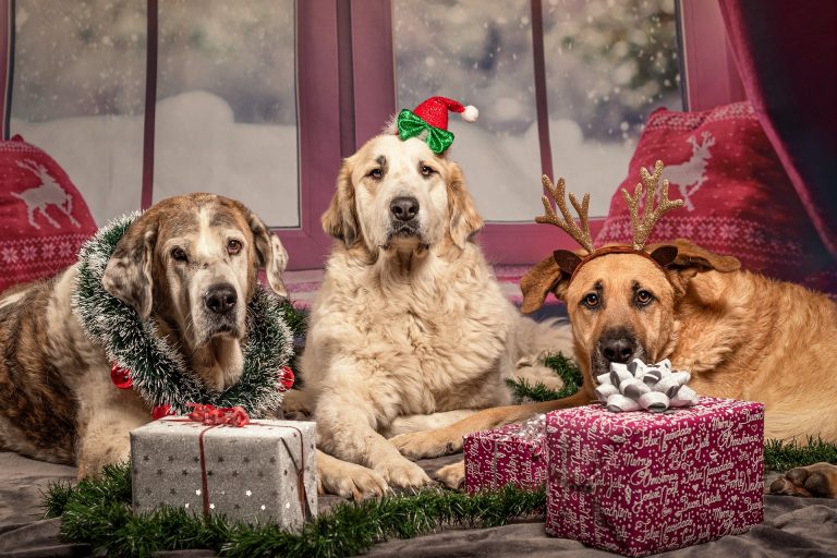 Tired of giving the same old gifts?
