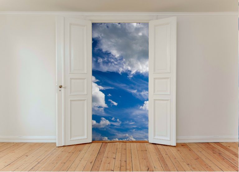 An Optimist’s Dream