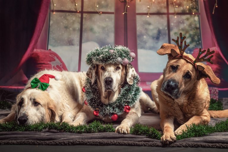 Make Them Smile This Christmas