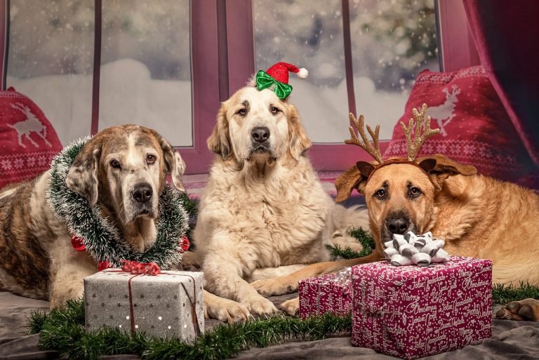 It’s That Time of Year Again…
