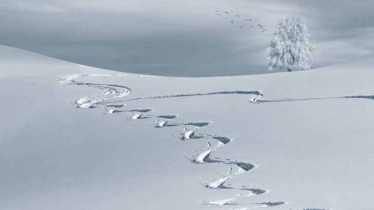 Summer Flies, Winter Crawls