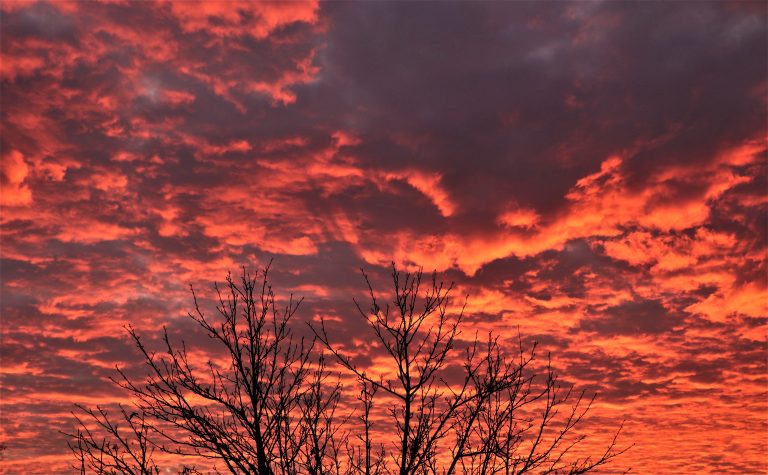 In The Red Gloaming