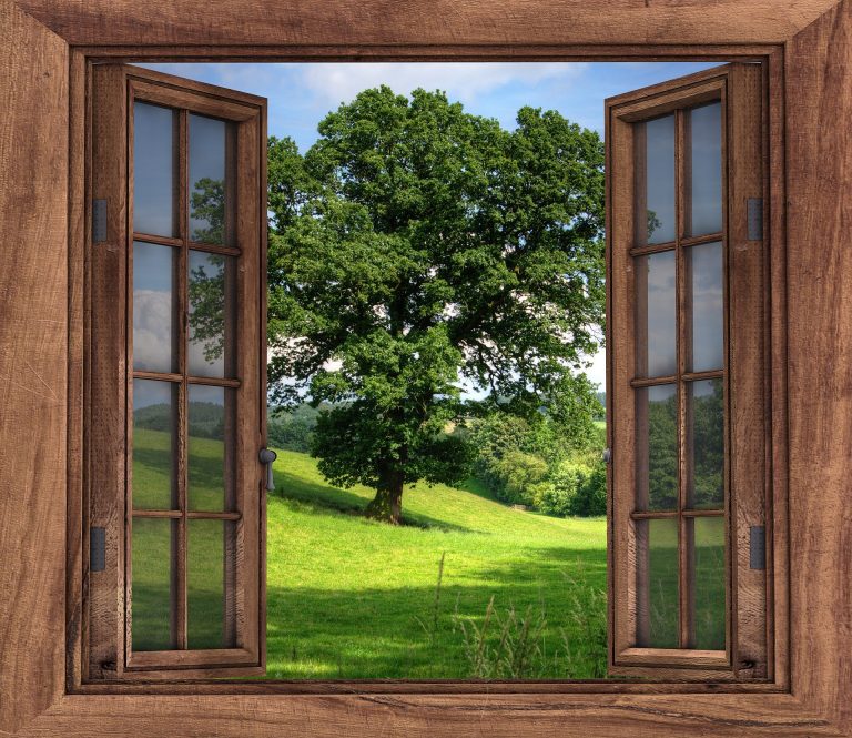 Open the Window