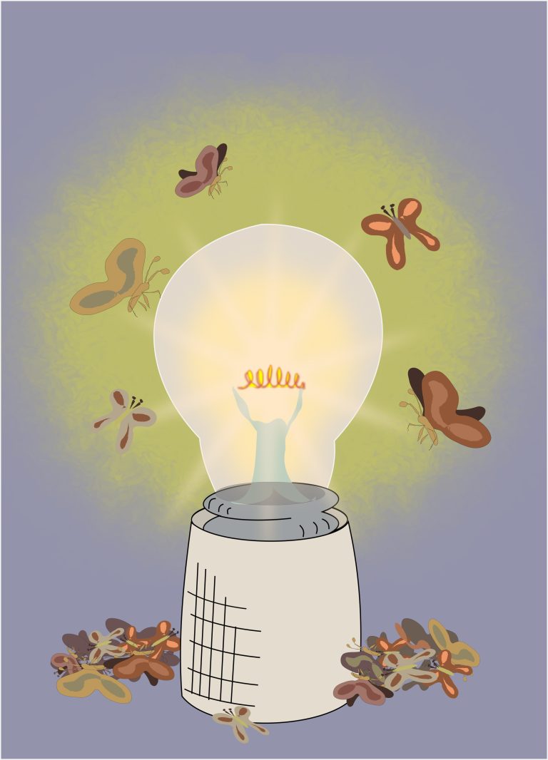 Moths of Melancholy